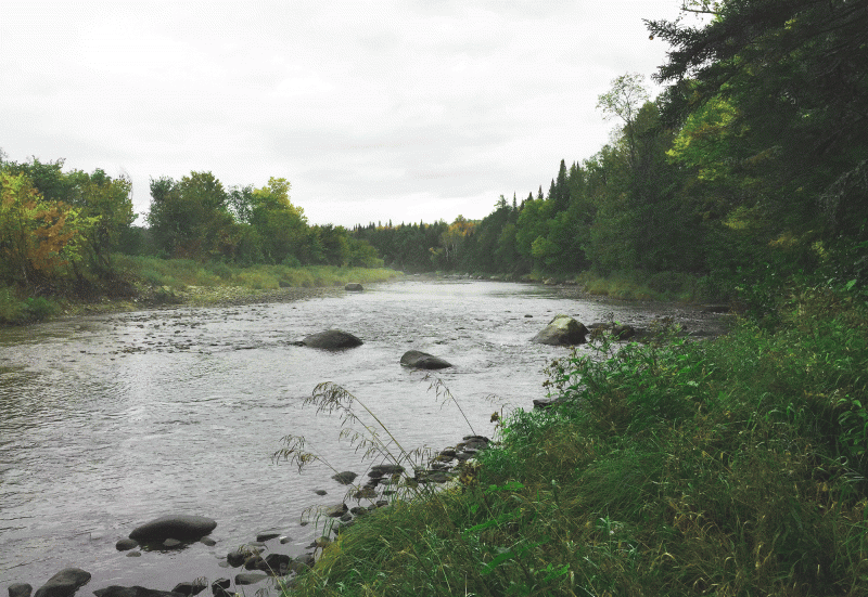 The Ammonoosuc River in Bethlehem, NH. Photo courtesy of the Ammonoosuc Conservation Trust.