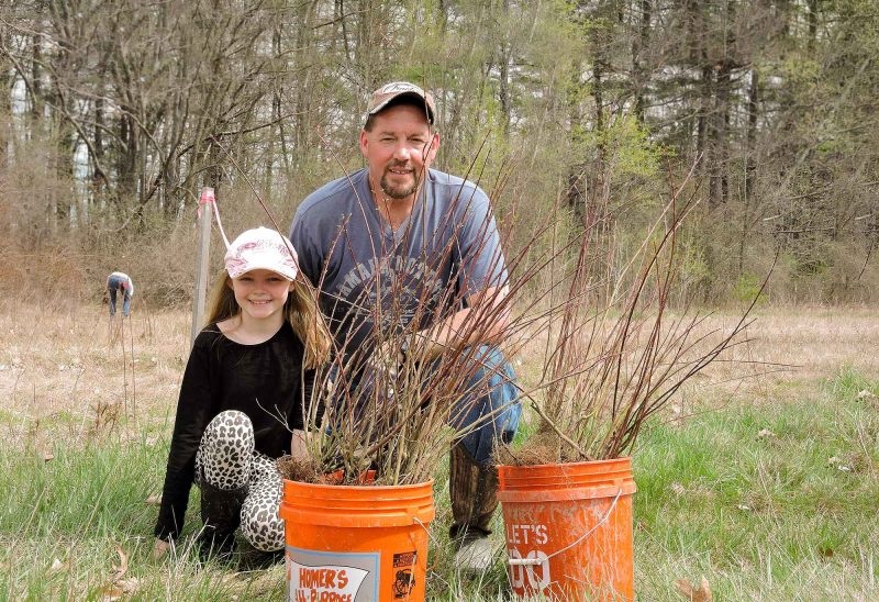Mike Alukonis and his daughter Ashley help New Hampshire Fish and Game create thickets for the New England cottontail.