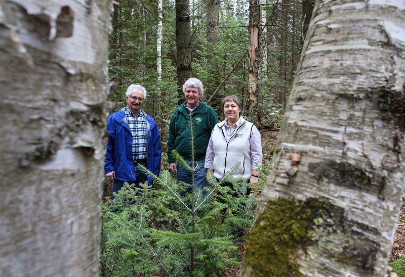 George Pozzuto and Mike Kelley with Julie Renaud Evans of the Northern Forest Center in the Milan Community Forest. (Photo by Cheryl Senter).