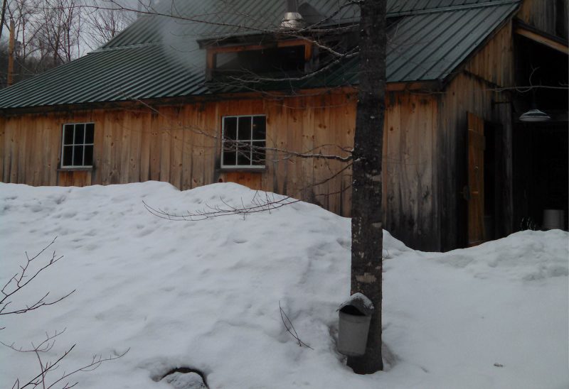 Peter Benson's maple sugarhouse
