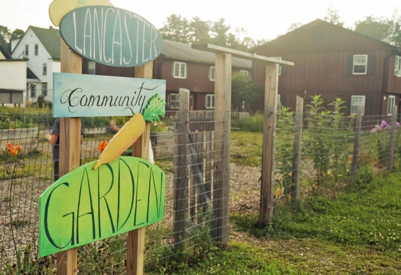 The Lancaster Community Garden managed by Taproot Farm and Environmental Education Center provides the community with green space to grow their own garden.